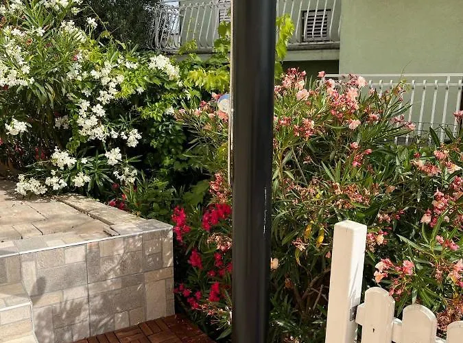 Jil * ז'אבוריץ'